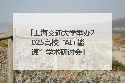上海交通大学举办2025高校“AI+能源”学术研讨会