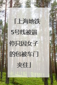 上海地铁5号线被逼停只因女子的包被车门夹住