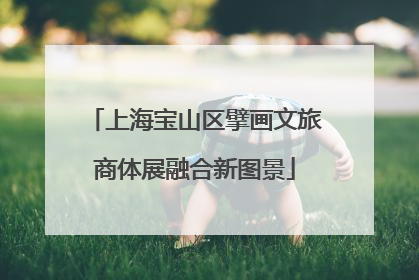 上海宝山区擘画文旅商体展融合新图景