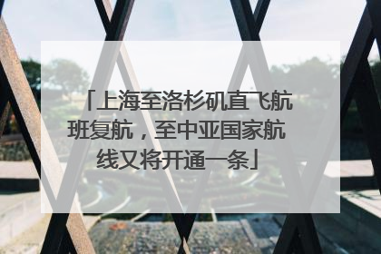 上海至洛杉矶直飞航班复航，至中亚国家航线又将开通一条