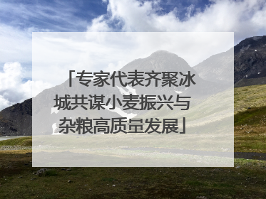 专家代表齐聚冰城共谋小麦振兴与杂粮高质量发展