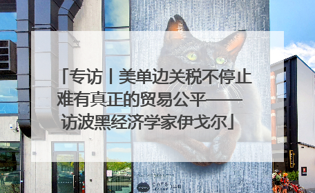 专访丨美单边关税不停止 难有真正的贸易公平——访波黑经济学家伊戈尔