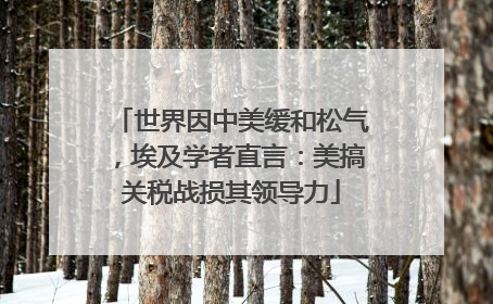 世界因中美缓和松气，埃及学者直言：美搞关税战损其领导力