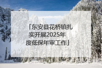 东安县花桥镇扎实开展2025年度低保年审工作