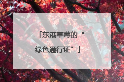 东港草莓的“绿色通行证”