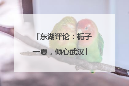 东湖评论：栀子一夏，倾心武汉