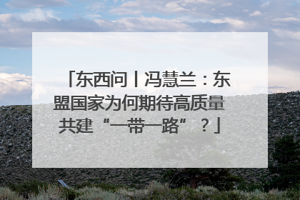东西问丨冯慧兰：东盟国家为何期待高质量共建“一带一路”？
