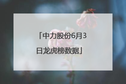 中力股份6月3日龙虎榜数据