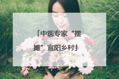 中医专家“摆摊”宜阳乡村