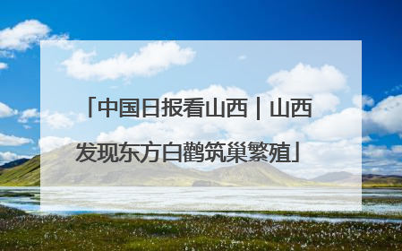中国日报看山西｜山西发现东方白鹳筑巢繁殖