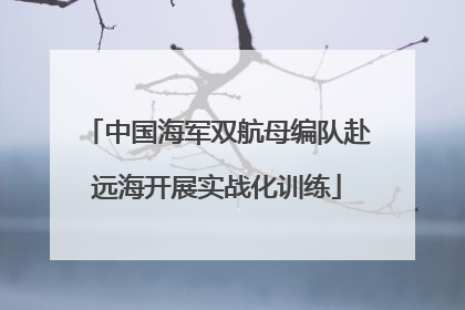 中国海军双航母编队赴远海开展实战化训练