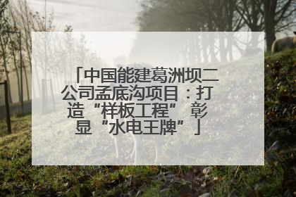 中国能建葛洲坝二公司孟底沟项目：打造“样板工程” 彰显“水电王牌”