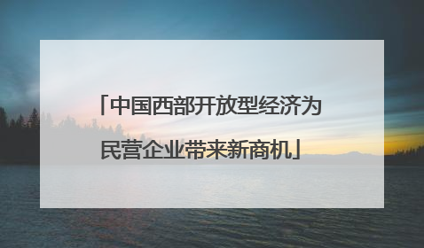 中国西部开放型经济为民营企业带来新商机