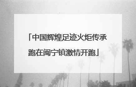 中国辉煌足迹火炬传承跑在闽宁镇激情开跑