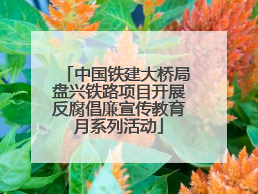 中国铁建大桥局盘兴铁路项目开展反腐倡廉宣传教育月系列活动