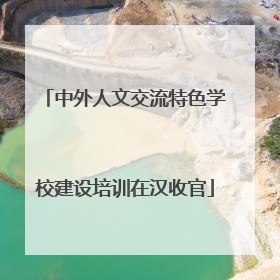 中外人文交流特色学校建设培训在汉收官