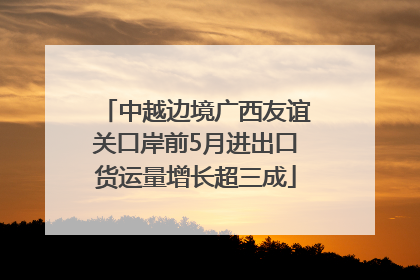 中越边境广西友谊关口岸前5月进出口货运量增长超三成