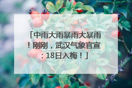 中雨大雨暴雨大暴雨！刚刚，武汉气象官宣：18日入梅！