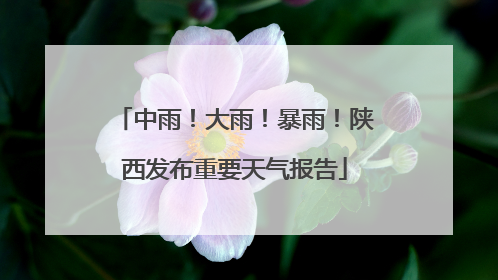 中雨！大雨！暴雨！陕西发布重要天气报告