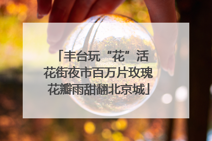 丰台玩“花”活 花街夜市百万片玫瑰花瓣雨甜翻北京城