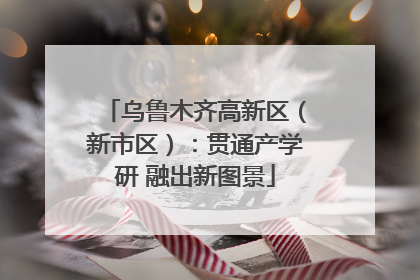 乌鲁木齐高新区（新市区）：贯通产学研 融出新图景