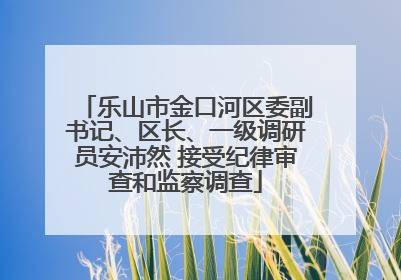 乐山市金口河区委副书记、区长、一级调研员安沛然 接受纪律审查和监察调查
