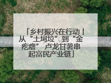 乡村振兴在行动丨从“土坷垃”到“金疙瘩” 卢龙甘薯串起富民产业链