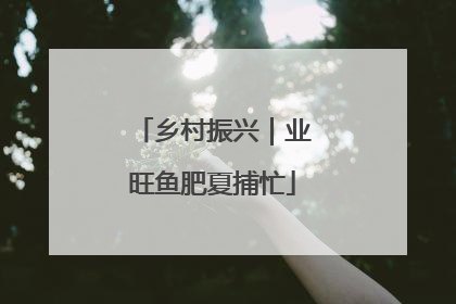 乡村振兴｜业旺鱼肥夏捕忙