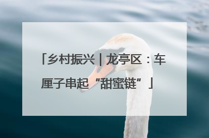乡村振兴｜龙亭区：车厘子串起“甜蜜链”
