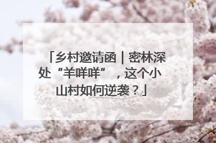 乡村邀请函｜密林深处“羊咩咩”，这个小山村如何逆袭？