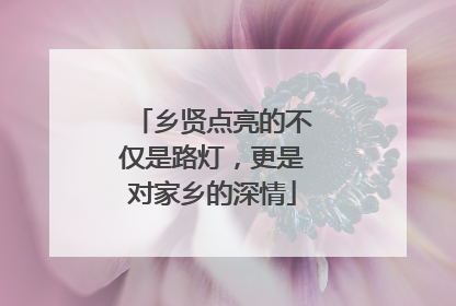 乡贤点亮的不仅是路灯，更是对家乡的深情