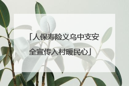 人保寿险义乌中支安全宣传入村暖民心