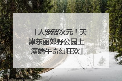 人宠破次元！天津东丽郊野公园上演端午奇幻狂欢
