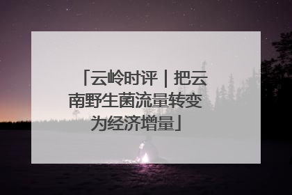 云岭时评｜把云南野生菌流量转变为经济增量