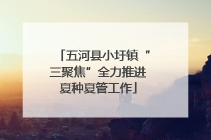 五河县小圩镇“三聚焦”全力推进夏种夏管工作