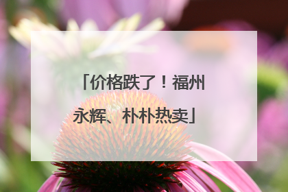 价格跌了！福州永辉、朴朴热卖