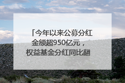 今年以来公募分红金额超950亿元，权益基金分红同比翻倍｜招财猫