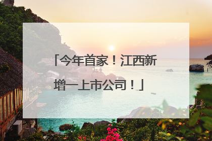 今年首家！江西新增一上市公司！