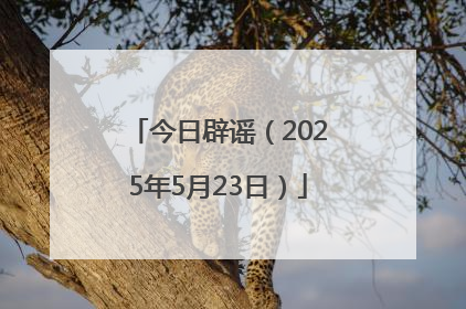 今日辟谣（2025年5月23日）