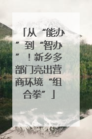 从“能办”到“智办”！新乡多部门亮出营商环境“组合拳”