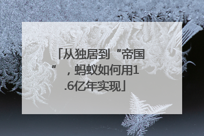 从独居到“帝国”，蚂蚁如何用1.6亿年实现