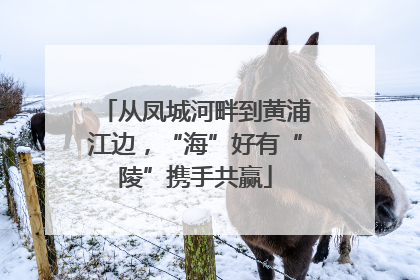 从凤城河畔到黄浦江边，“海”好有“陵”携手共赢