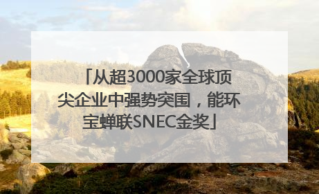 从超3000家全球顶尖企业中强势突围，能环宝蝉联SNEC金奖