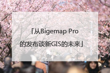 从Bigemap Pro的发布谈新GIS的未来