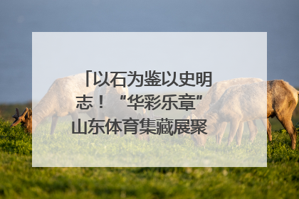 以石为鉴以史明志！“华彩乐章”山东体育集藏展聚焦“岱石丹心”