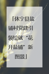 休宁县盐铺村党建引领绘就“花开盐铺”新图景