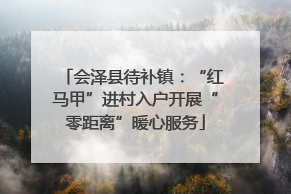 会泽县待补镇：“红马甲”进村入户开展“零距离”暖心服务
