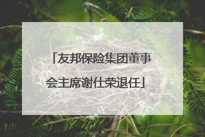 友邦保险集团董事会主席谢仕荣退任