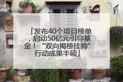 发布40个项目榜单，启动50亿元引导基金！“双向揭榜挂帅”行动成果丰硕