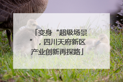 变身“超级场景”，四川天府新区产业创新再探路